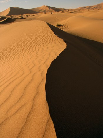 Eine Düne in der Wüste Erg Chebbi.